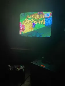 GameCube playing Animal Crossing