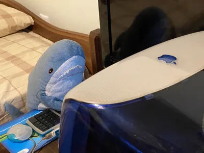 Blåhaj using the iMac G3 Indigo